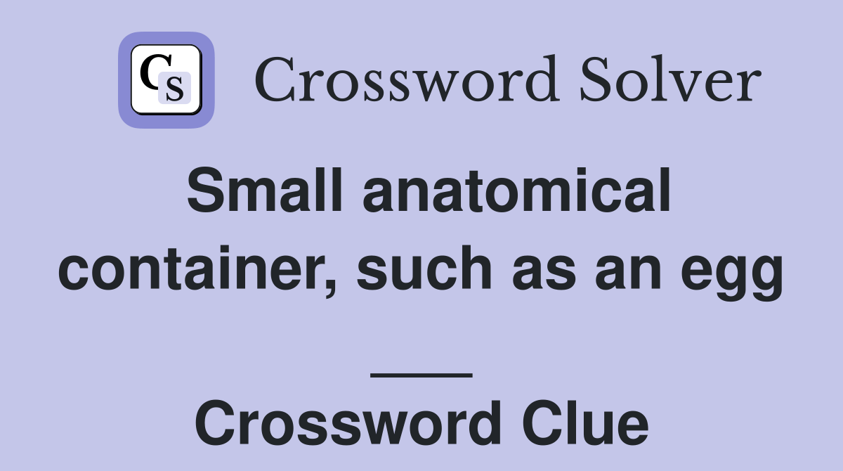 Small anatomical container, such as an egg ___ Crossword Clue Answers